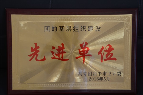 2016年5月 团的基层组织建设先进单位